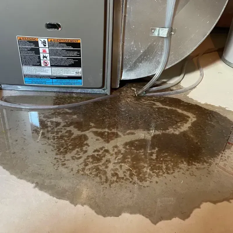 Appliance Leak Cleanup in Fentress County, TN